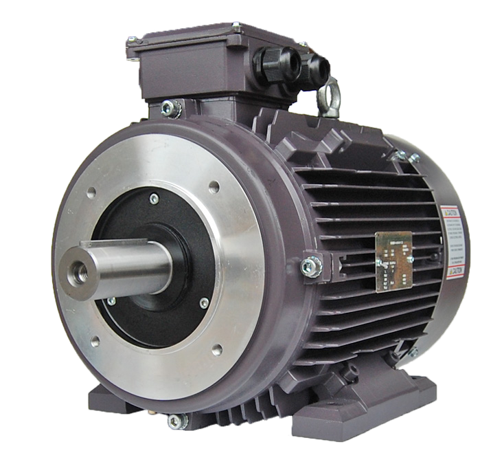 Techtop IEC Motor with B14 Flange