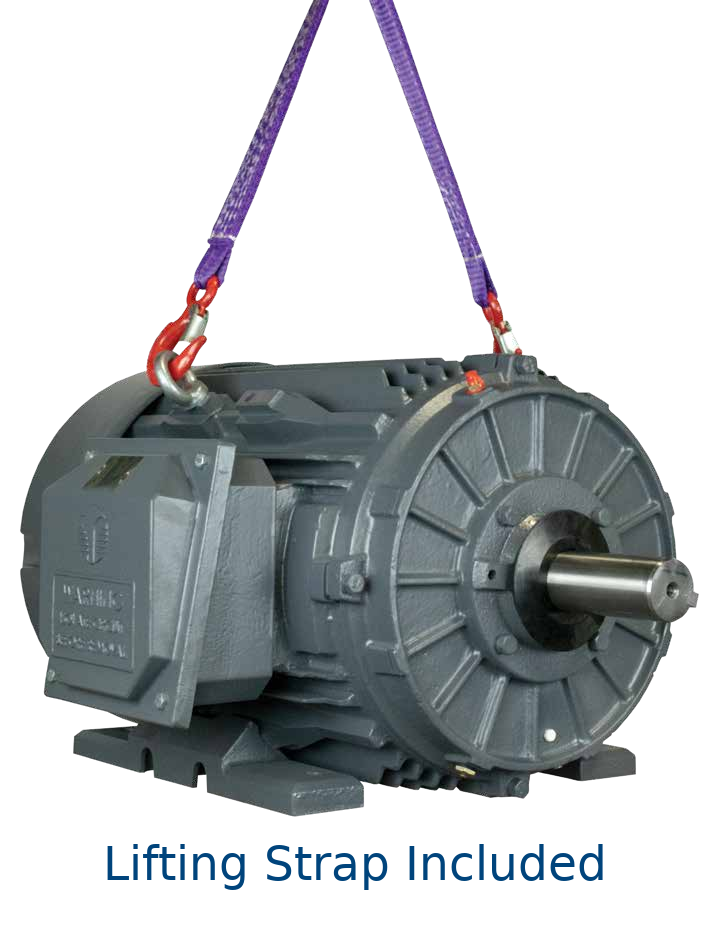 Techtop GR3-CI-TF-405TSC-2-BR-D-100 Cast Iron 3-Phase TEFC Motor