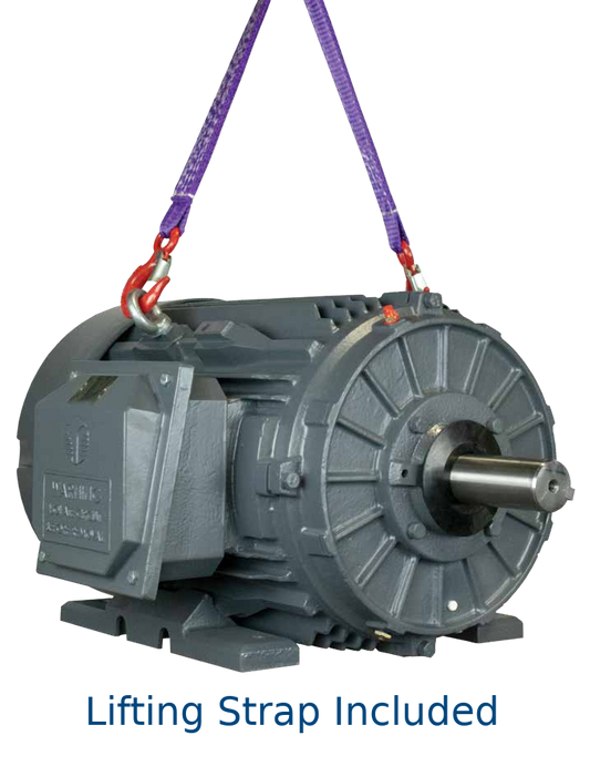 Techtop GR3-CI-TF-256T-6-BR-D-10 Cast Iron 3-Phase TEFC Motor