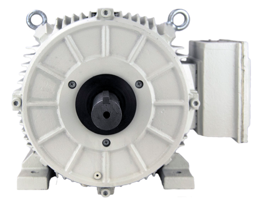 Techtop Oil Pumper Motor Front