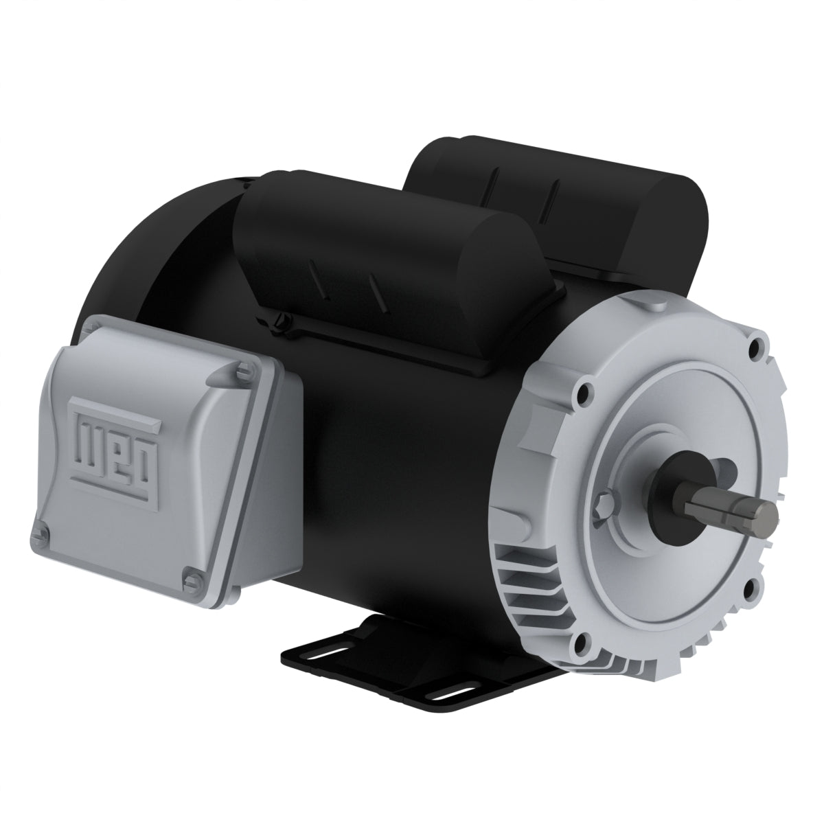 Weg Jet Pump Motor