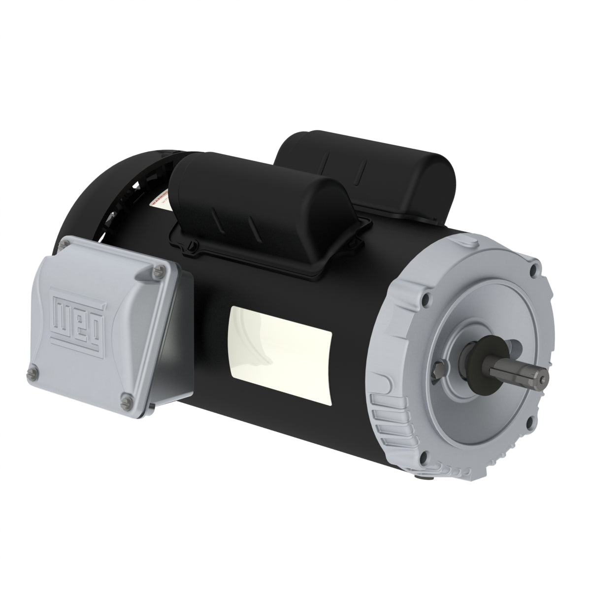 Weg Jet Pump Motor