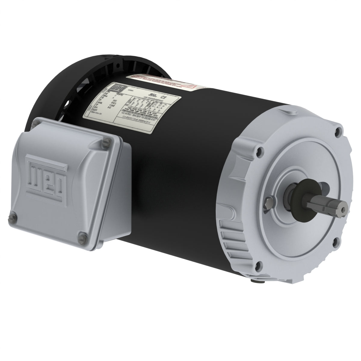 Weg Jet Pump Motor