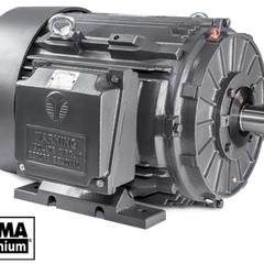 Collection image for: Techtop GR3 Cast Iron TEFC General Purpose Motors