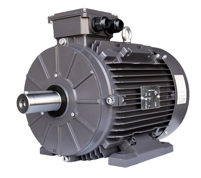 Techtop IEC Motor
