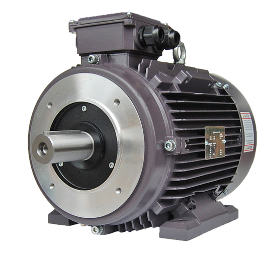 Techtop IEC Motor with B14 Flange