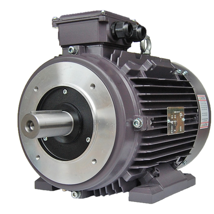 Techtop IEC Motor with B14 Flange