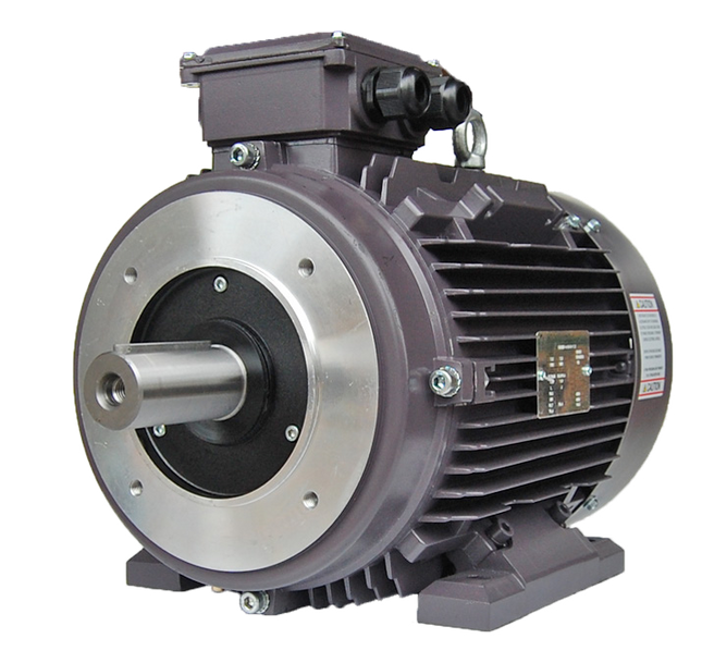 Techtop IEC Motor with B14 Flange