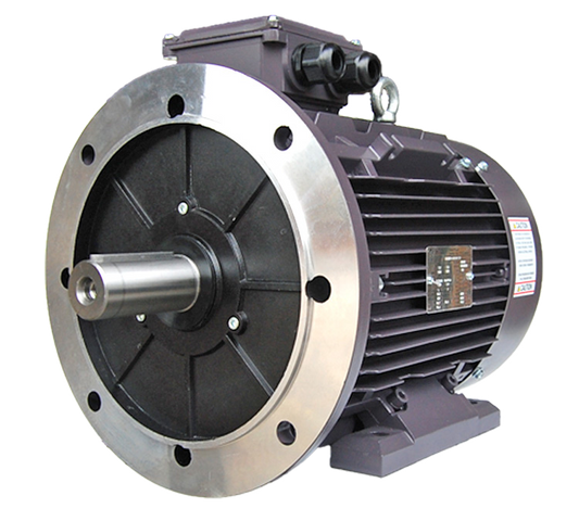 Techtop IEC Motor with B5 Flange
