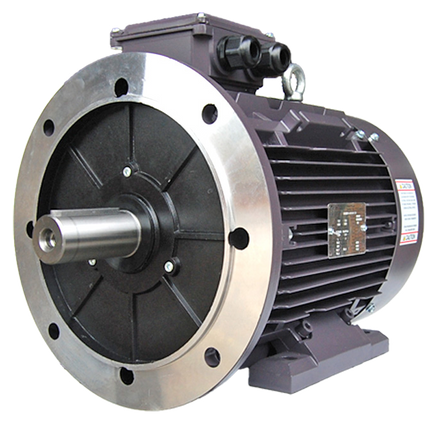 Techtop IEC Motor with B5 Flange
