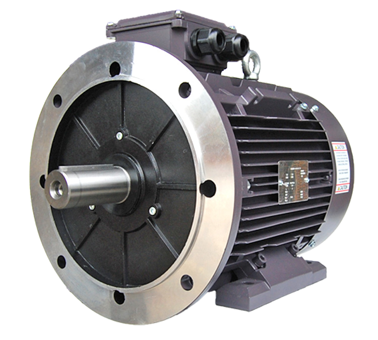 Techtop IEC Motor with B5 Flange