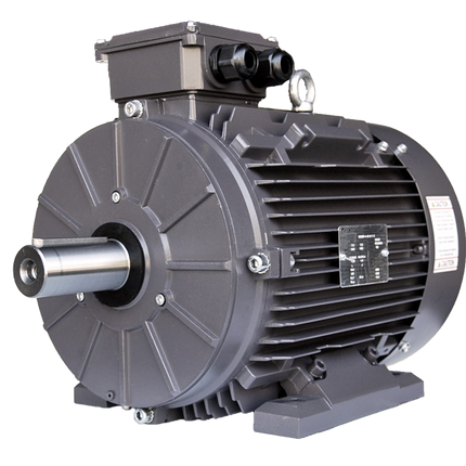 Techtop IEC Motor