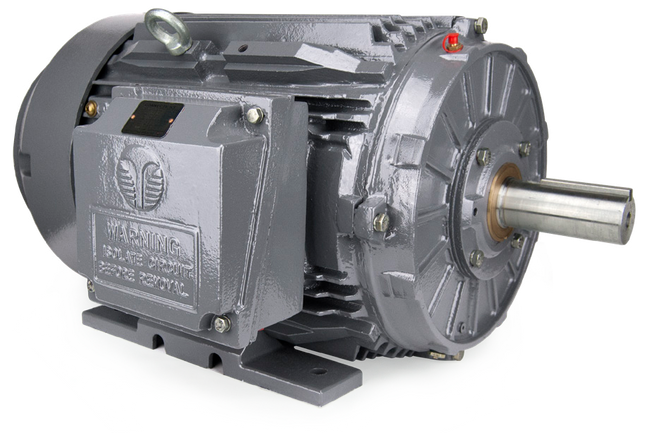 Techtop IEEE Motor