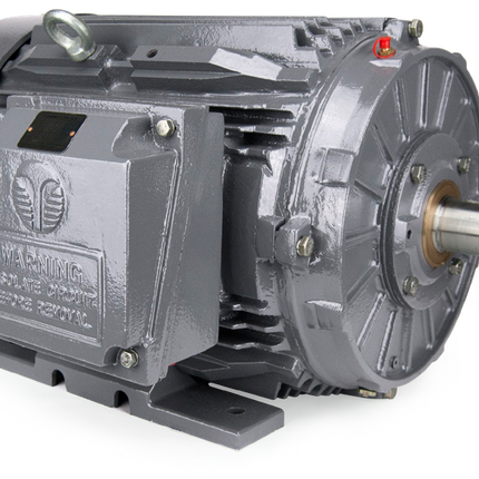 Techtop IEEE Motor