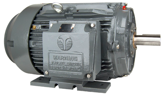 Techtop IEEE 841 Motor Side