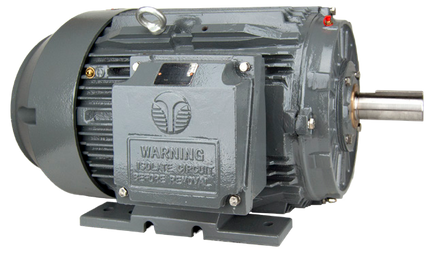 Techtop IEEE 841 Motor Side