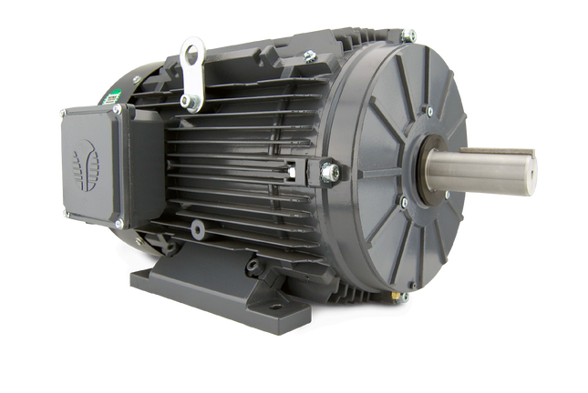 Techtop Techtop Motors – Caldwell Electric