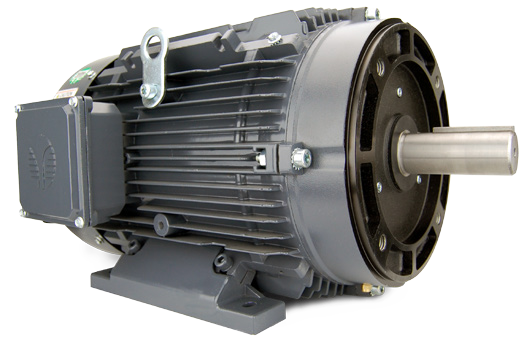 Techtop GX3 C-face motor