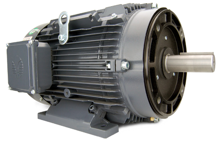 Techtop GX3 C-face motor