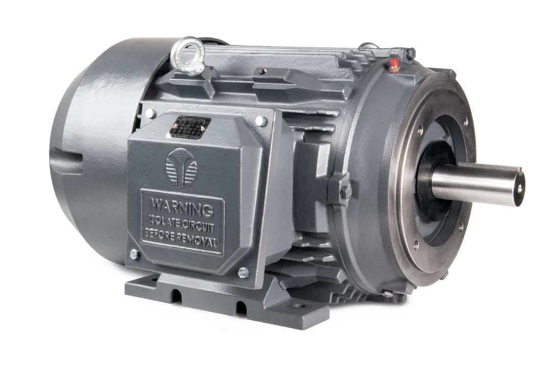 Techtop Cast Iron C-Face motor