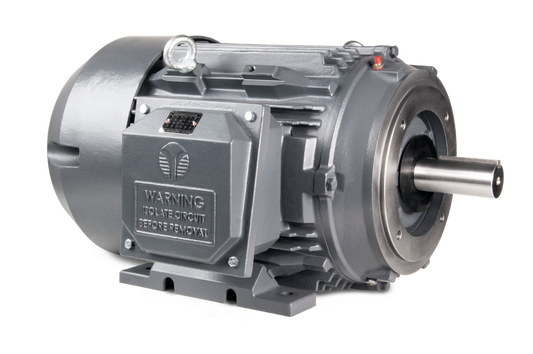 Techtop Cast Iron C-Face motor