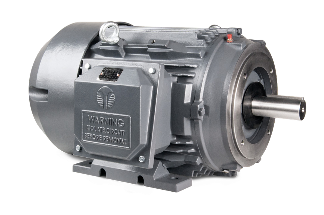 Techtop Motors – Caldwell Electric