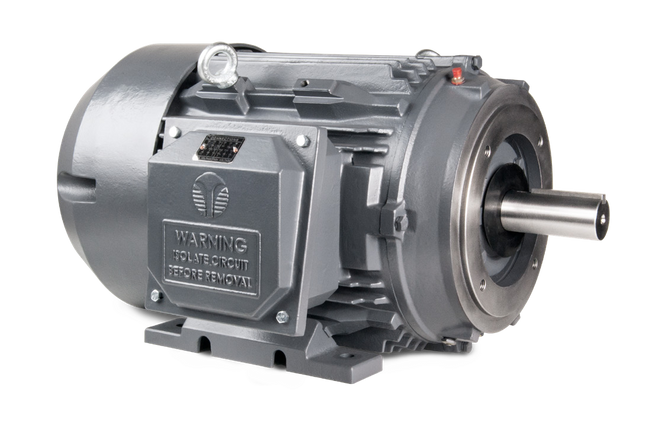 Techtop Cast Iron C-Face motor