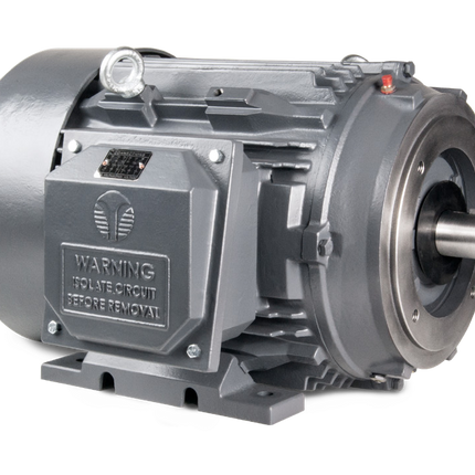 Techtop Cast Iron C-Face motor