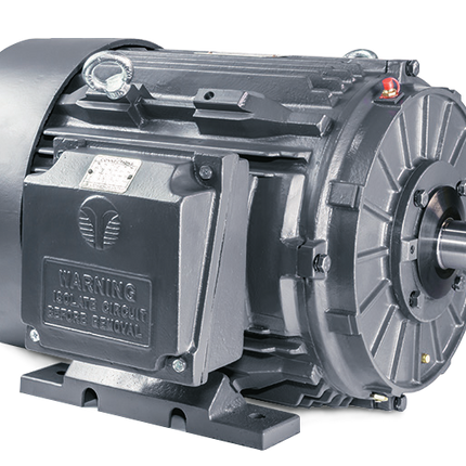 Techtop Cast Iron motor
