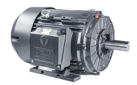 Techtop Motors – Caldwell Electric