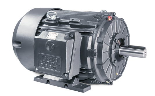 Techtop Cast Iron motor