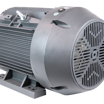 Techtop Crusher Duty Motor back