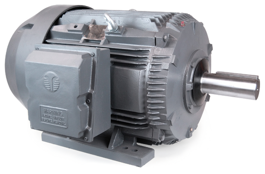 Techtop Crusher Duty Motor