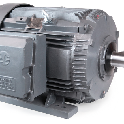 Techtop Crusher Duty Motor