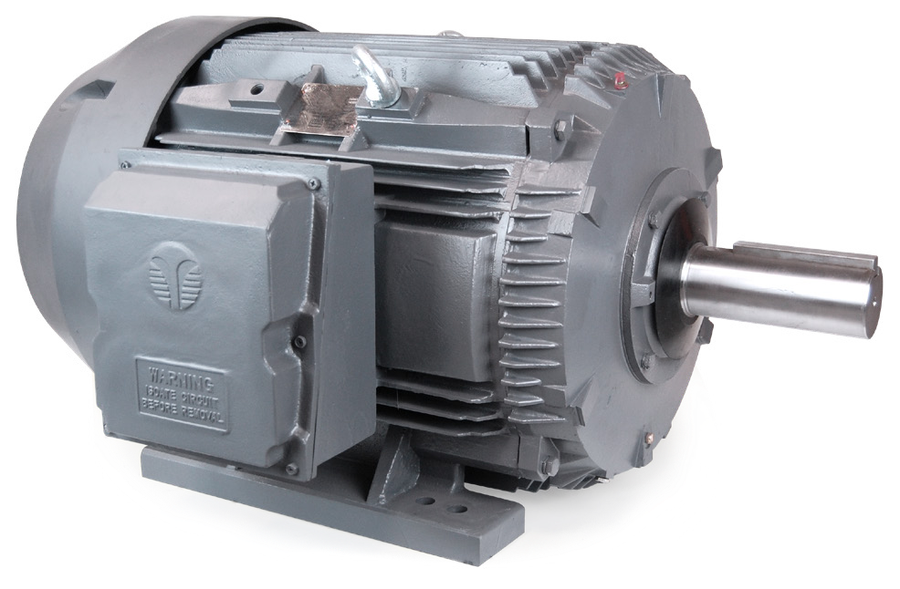 Techtop Crusher Duty Motor