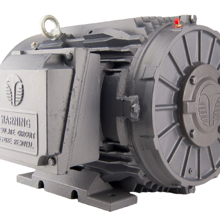 Techtop Phase Converter Idler Motor