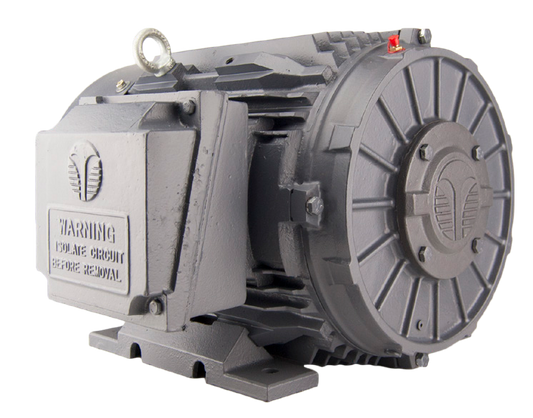 Techtop Phase Converter Idler Motor