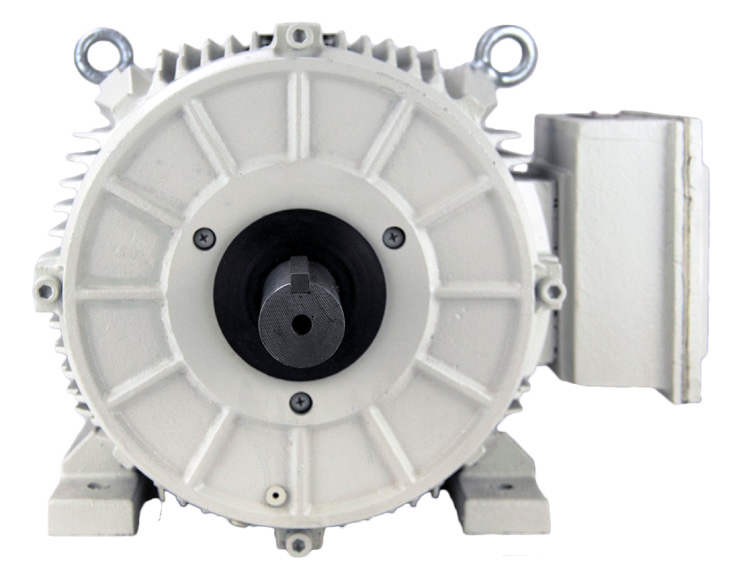 Techtop Oil Pumper Motor Front