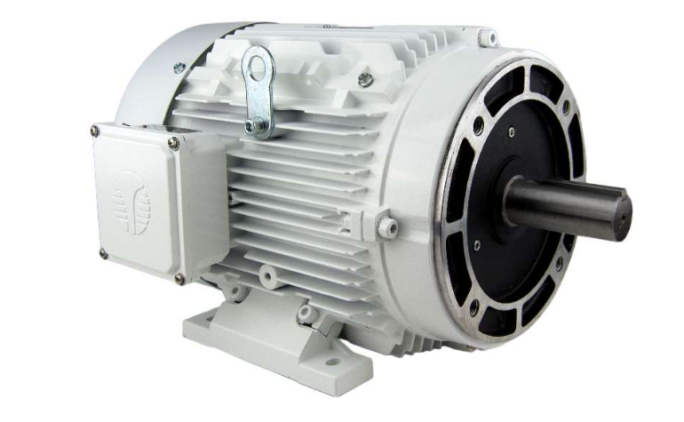Techtop Washdown Duty Motor no C-Face