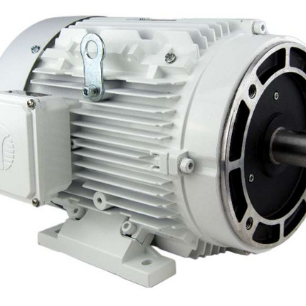 Techtop Washdown Duty Motor no C-Face
