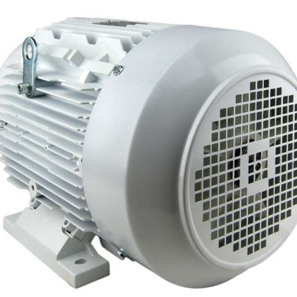 Techtop Washdown Motor Back