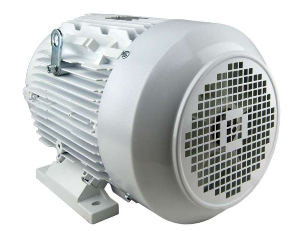 Techtop Washdown Motor Back