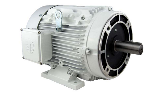 Techtop Washdown Duty Motor no C-Face