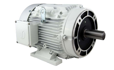 Techtop Motors – Caldwell Electric