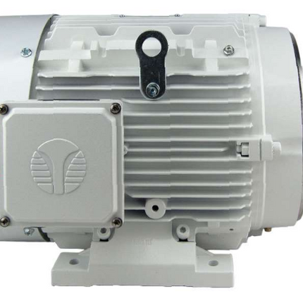 Techtop Washdown Duty Motor Side