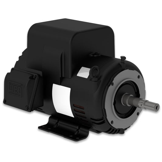 Weg Close-Coupled Pump Motor