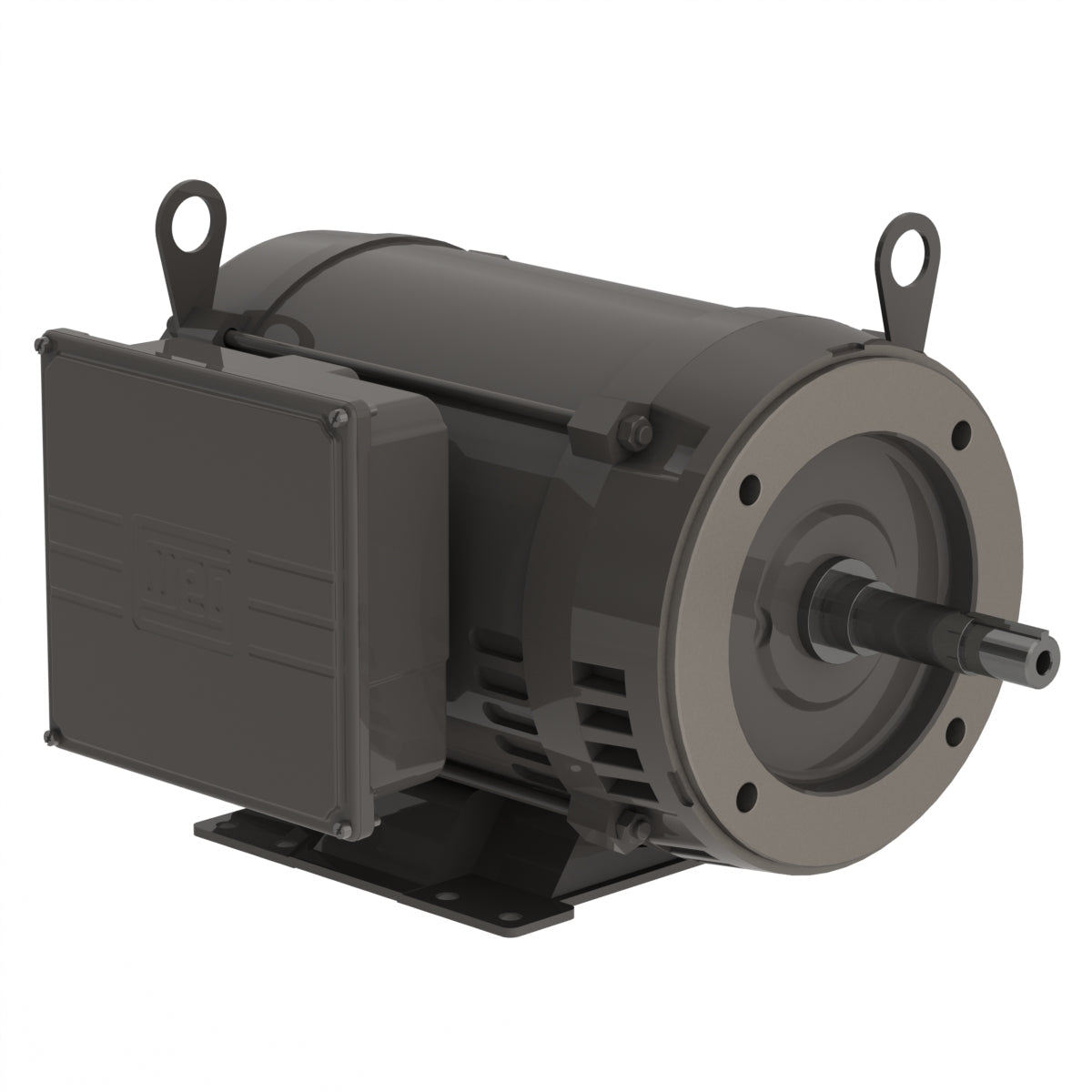 Weg Close-Coupled Pump Motor