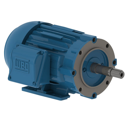 Weg Close-Coupled Pump Motor
