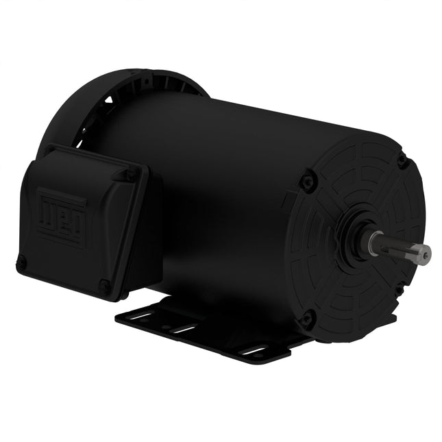 Weg TEFC Frame 56 Motor
