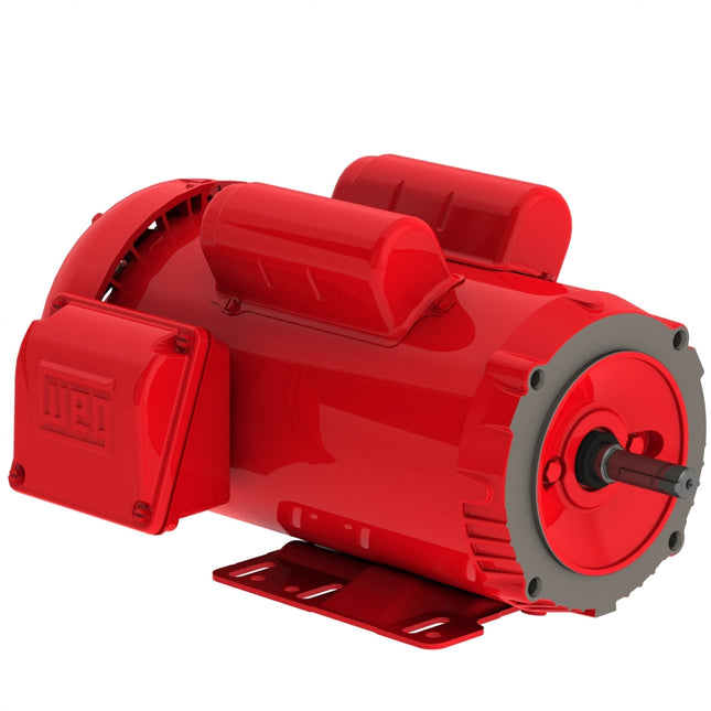 Weg Farm Duty Motor